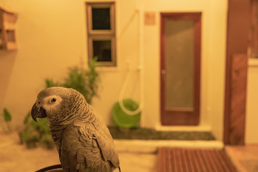 Nala Island Village - View 30