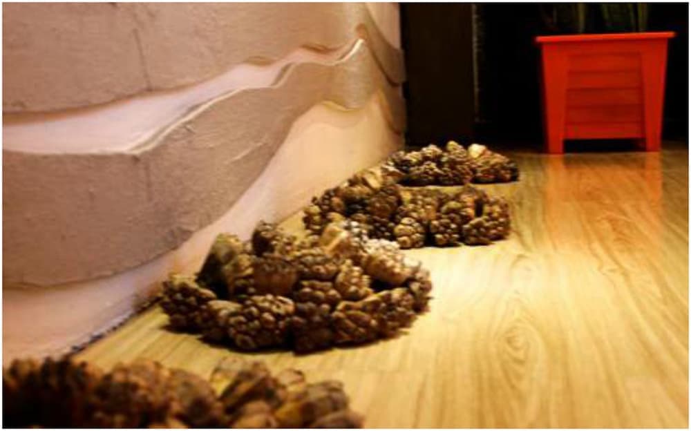 WhiteShell Island Hotel & Spa - View 42