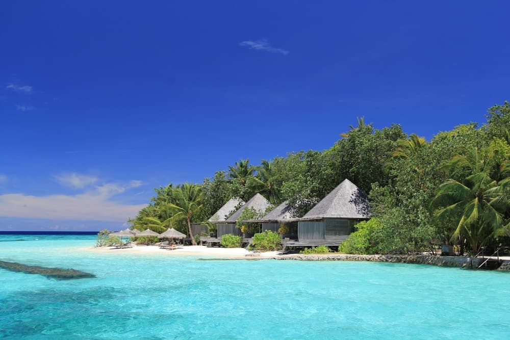Gangehi Island Resort - View 77