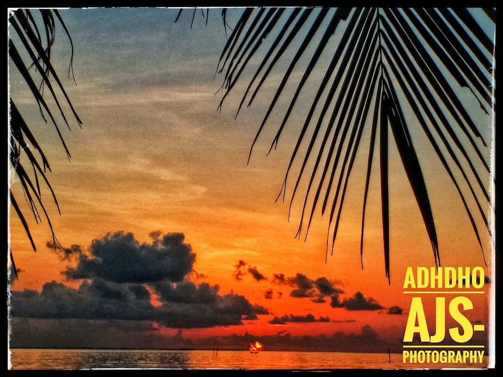 Medhufaru Inn - View 90