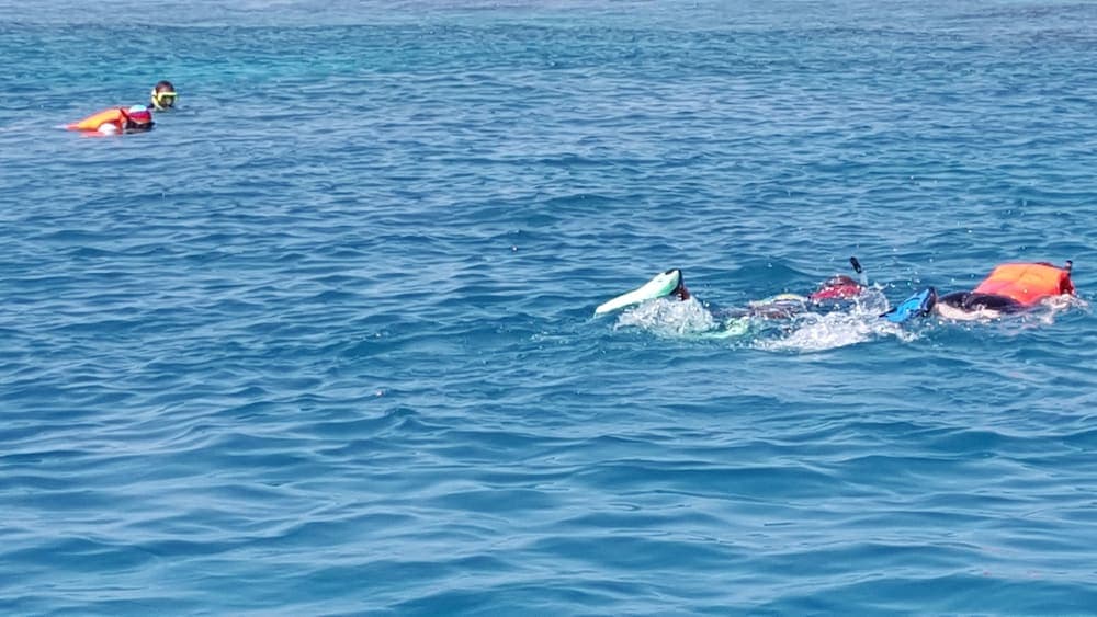 Equa Reef Maldives - View 34