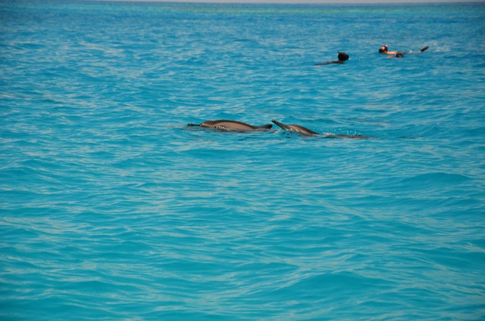 Adroit Beach Inn - View 18