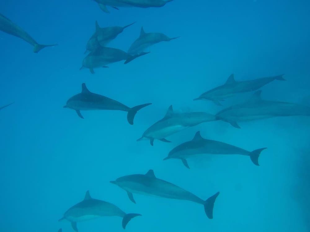 Velana Beach Hotel Maldives - View 70