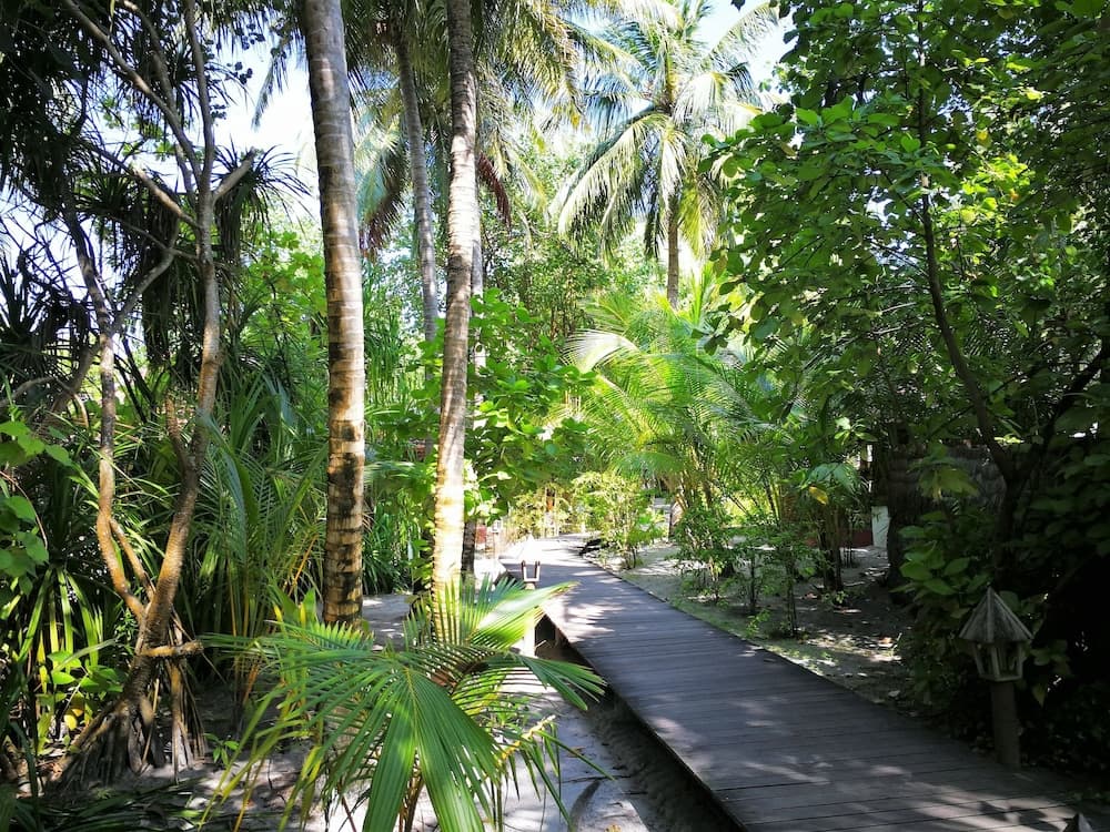 Gangehi Island Resort - View 9