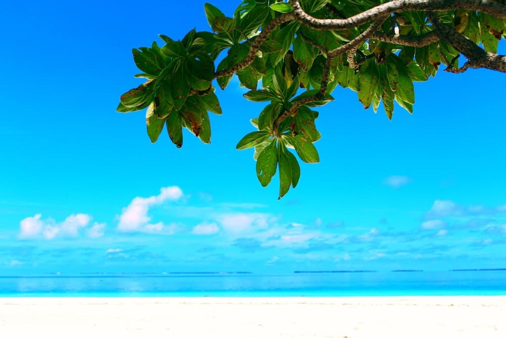 Village Life Maldives - View 70