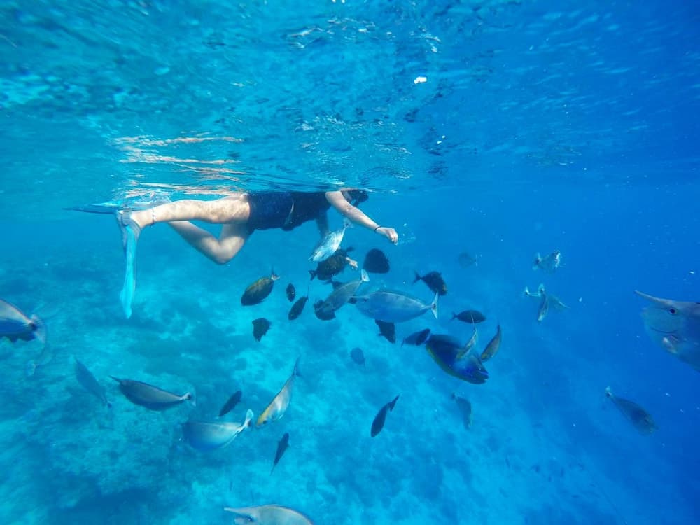 Adroit Beach Inn - View 221