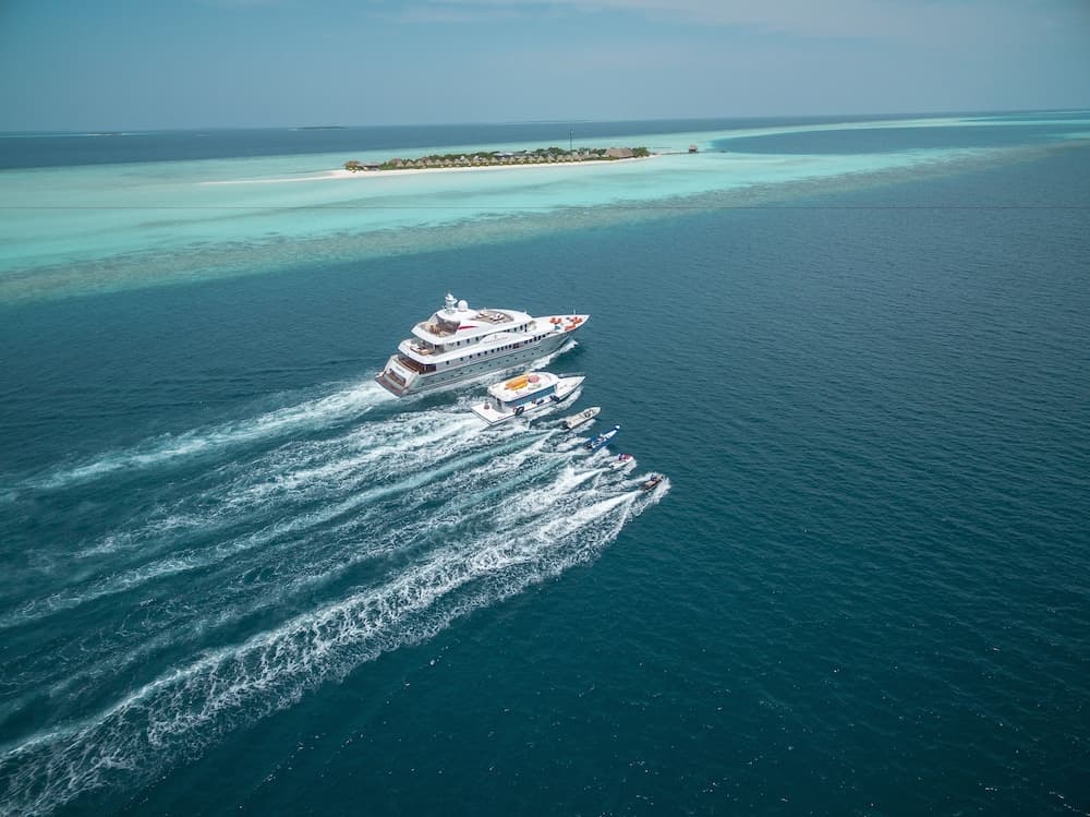 Dhigufaru Island Resort - View 83