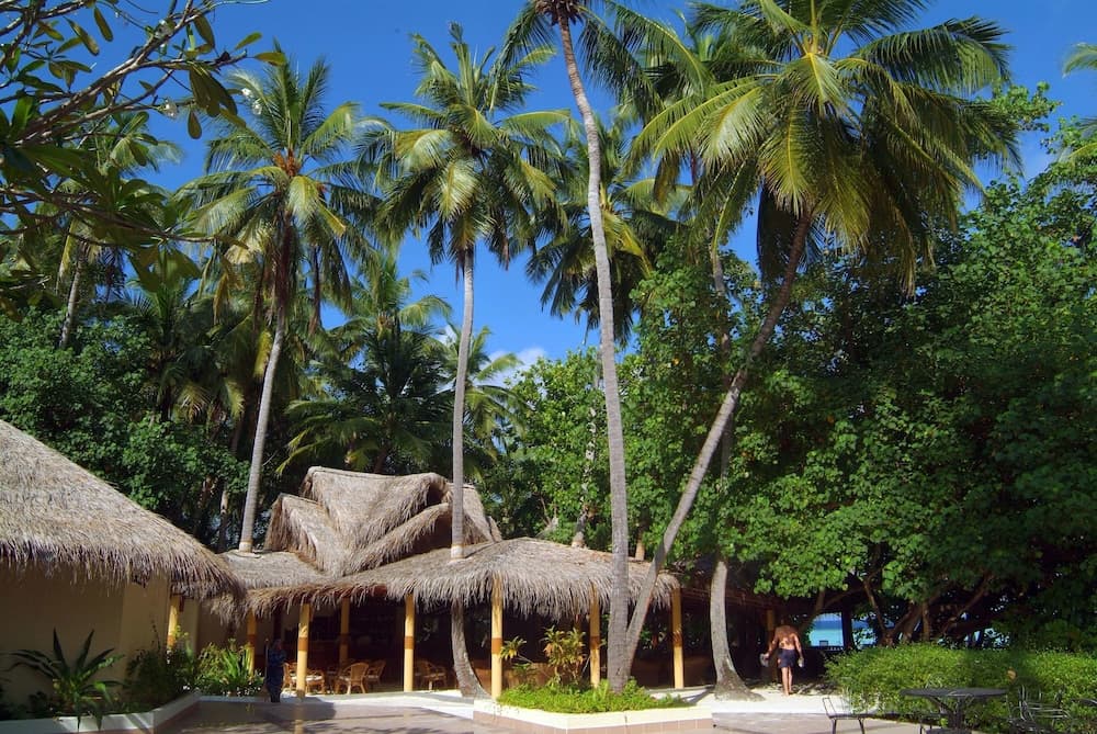 Biyadhoo Island Resort - View 4