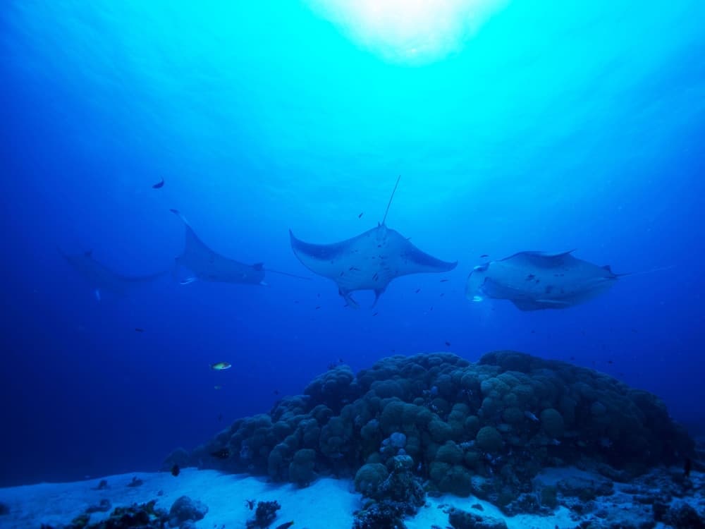 BB Island House Dhigurah - View 21