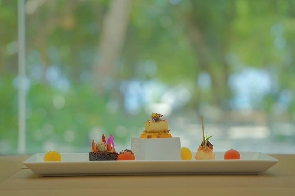 Cocomo Maldives - View 30