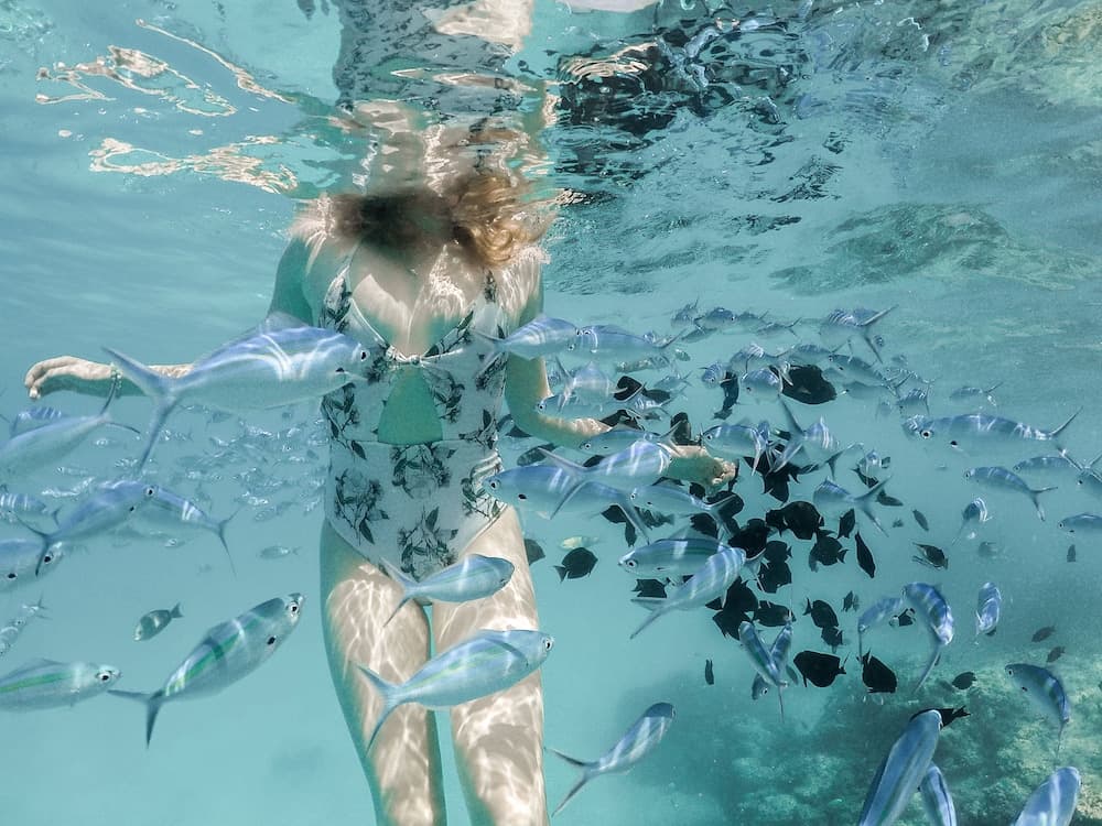 Royal Inn Rasdhoo - View 15