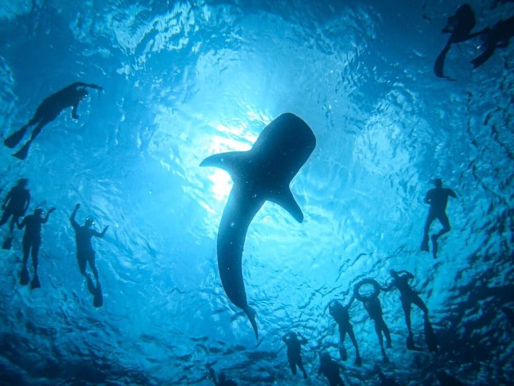 Liberty Guest House Maldives - View 9