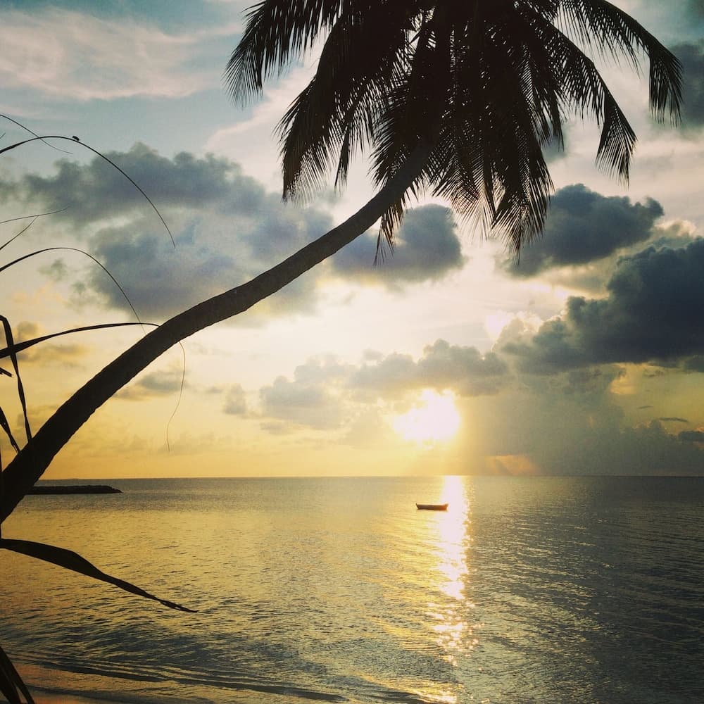 Evexia Beach Collection - A Premium Wellness Retreat - View 19