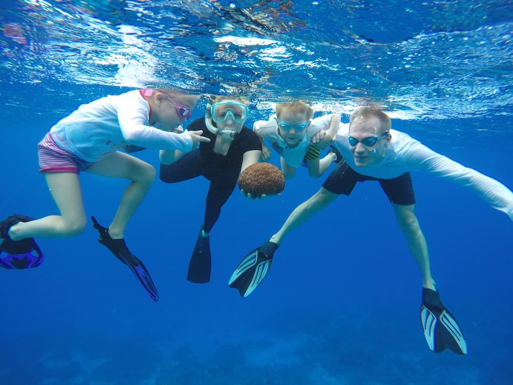 Lily Rest Maldives - View 3