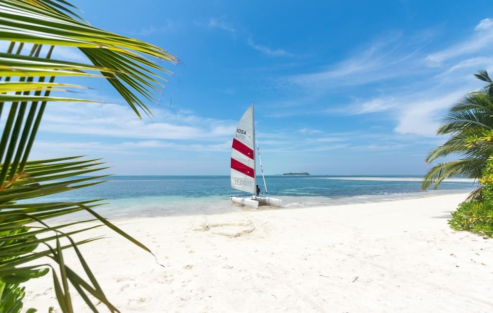 Olive Goidhoo - View 7