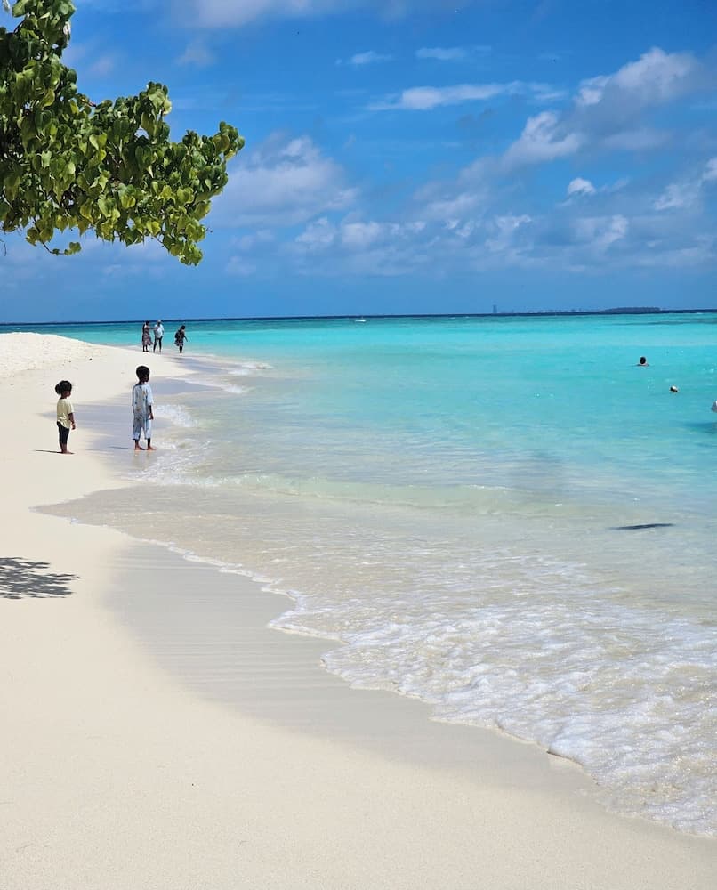 Coquillage Inn - View 11