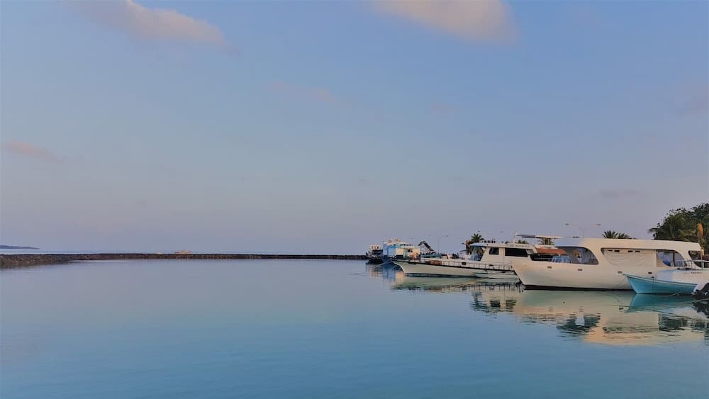 Explore Island Inn - View 39