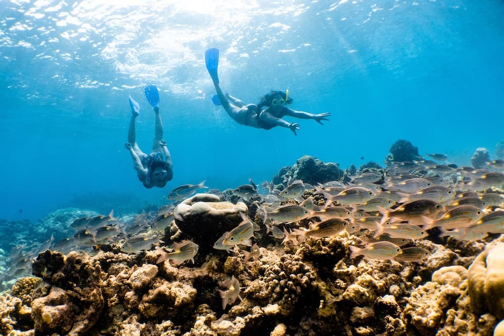 Kuredhivaru Resort & Spa Maldives - View 87