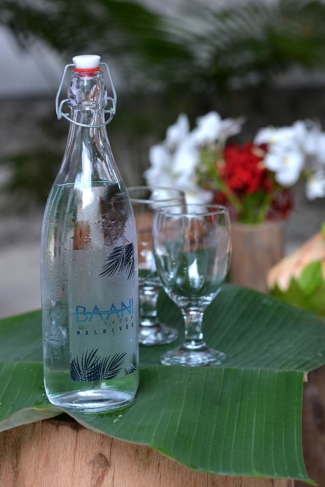 Eden BAANI Lodge - View 41