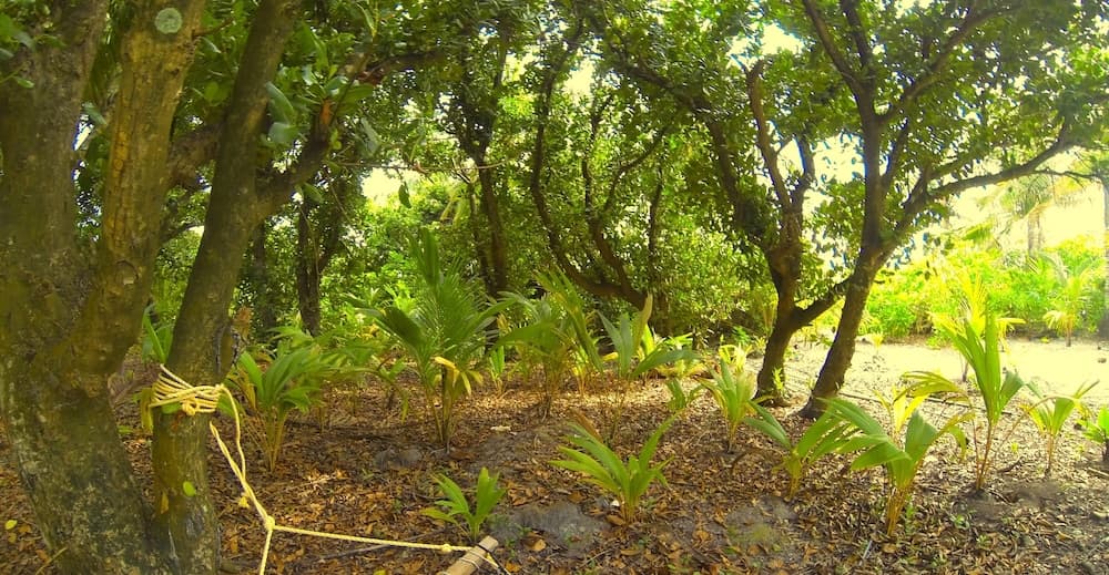 Viluxer Veyli - View 11