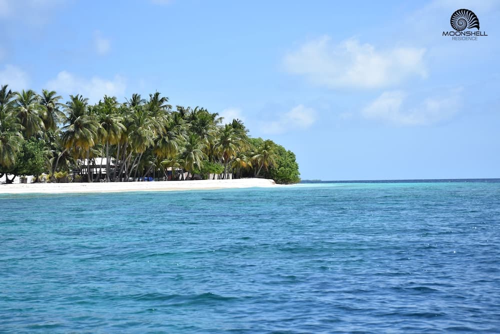 Moonshell Residence - View 6