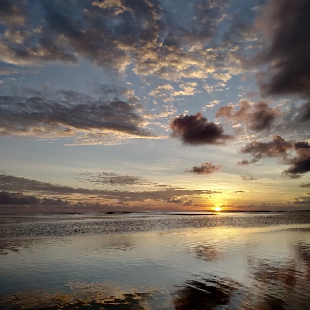 Sea Star Diving - View 27