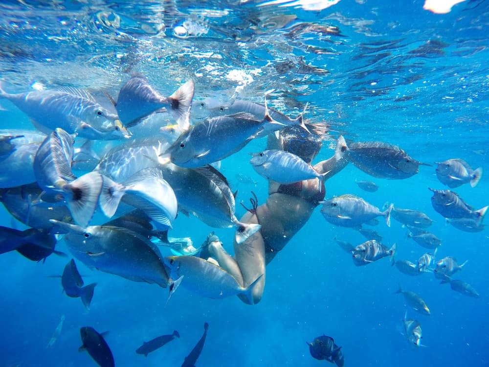 Adroit Beach Inn - View 196