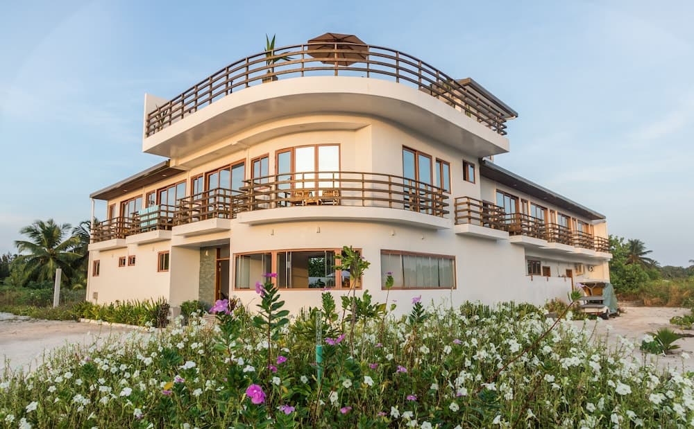 Olive Goidhoo - View 41