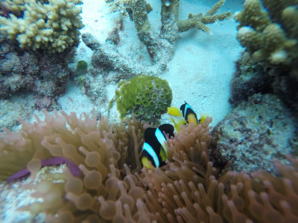 Salt Beach Hotel - View 32