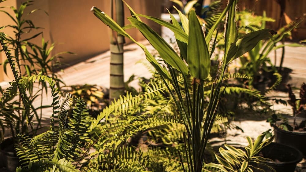 Endheri Sunset - View 73