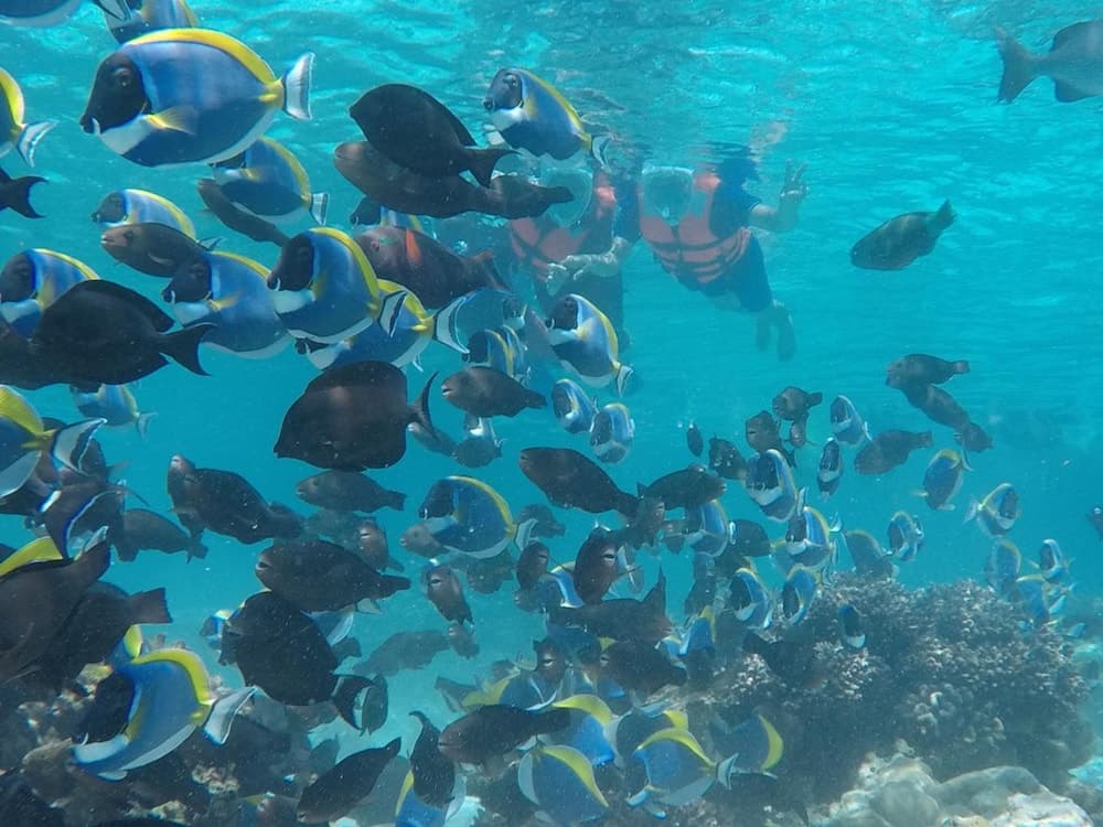 Club Blu - View 10
