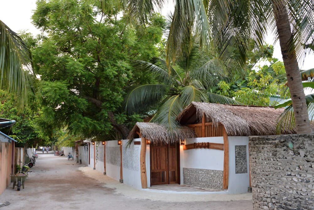 Eden BAANI Lodge - View 51