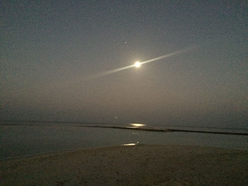 Liberty Guest House Maldives - View 266