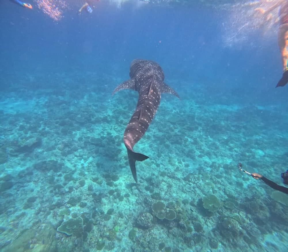 Raalhu Fonu Maldives - View 2