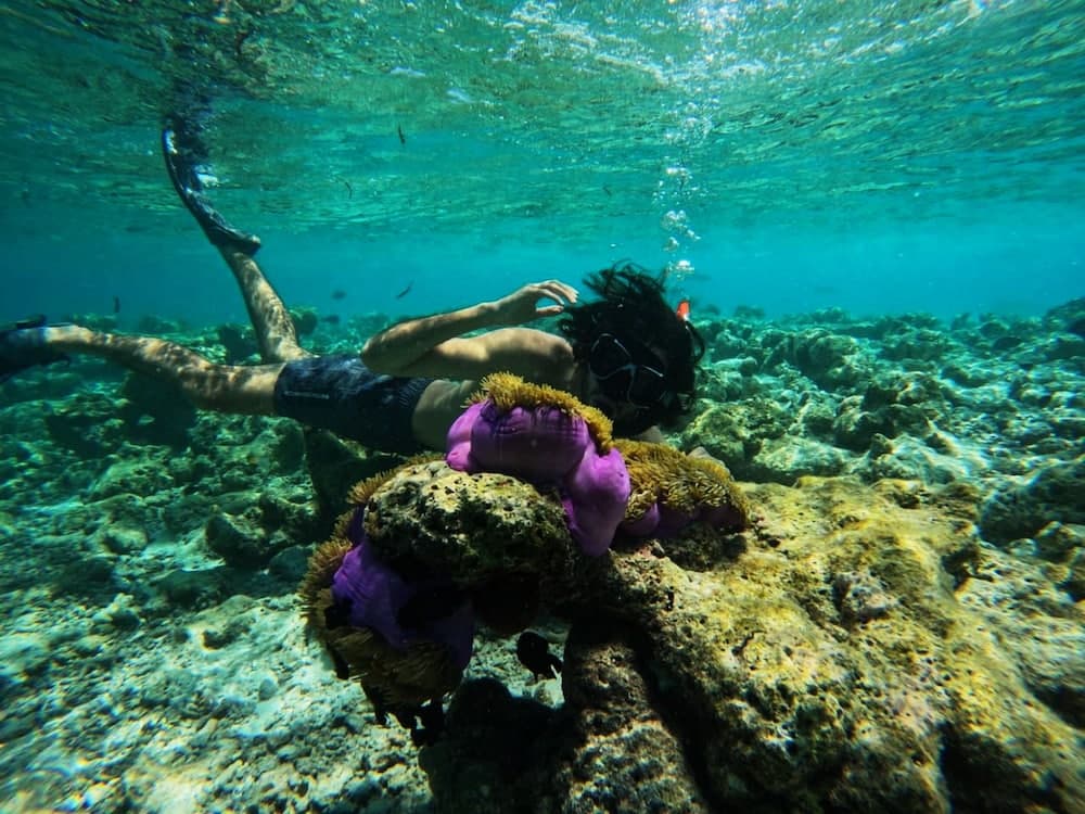 Adroit Beach Inn - View 50