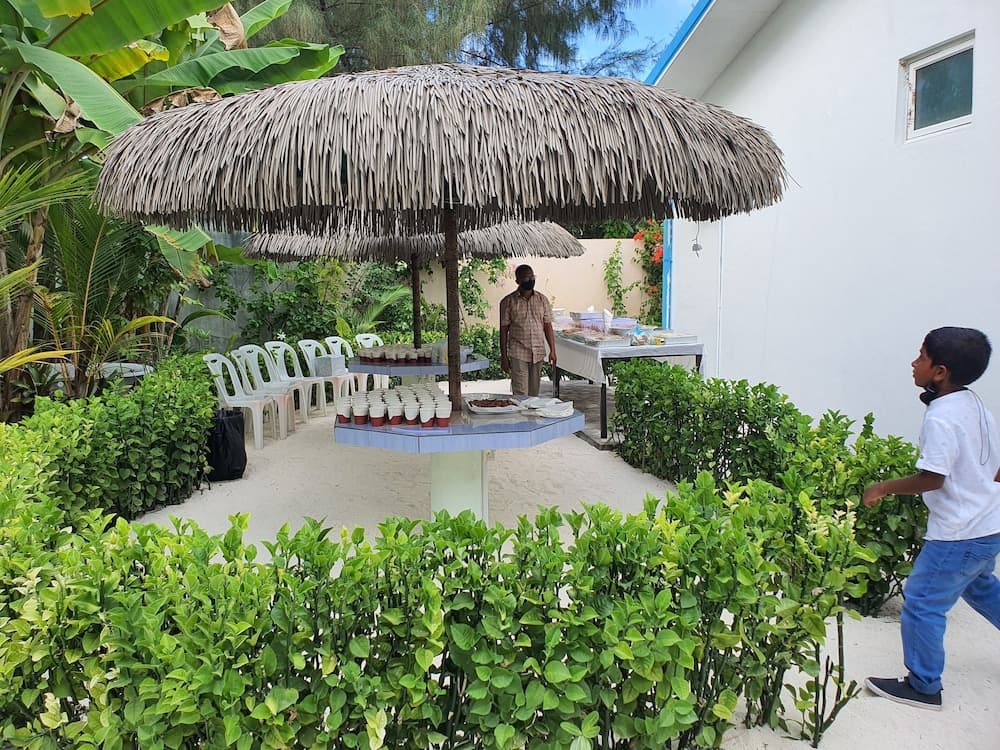 Island Guest - View 55