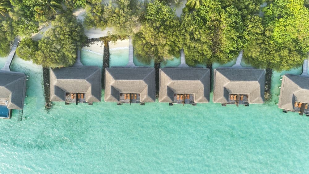 Taj Exotica Resort And Spa - View 152