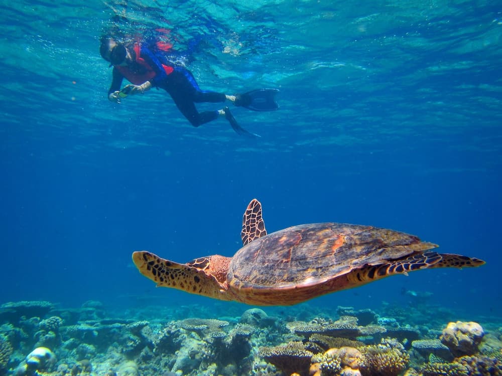 Kihaa Maldives - View 90