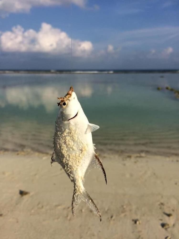 Pine Lodge Maldives - View 4
