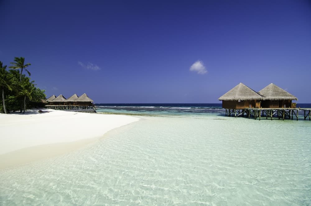 Mirihi Island Resort - View 7