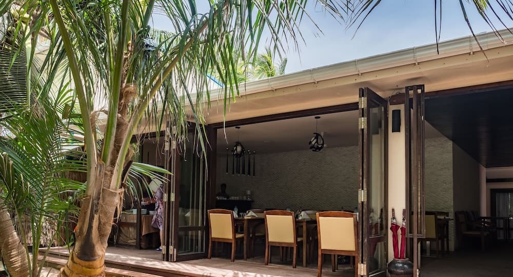 LVIS blancura - View 3