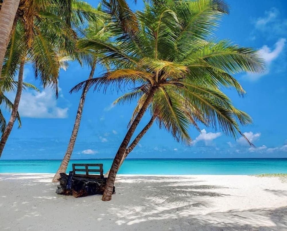 Blue Coral Vashafaru - View 34