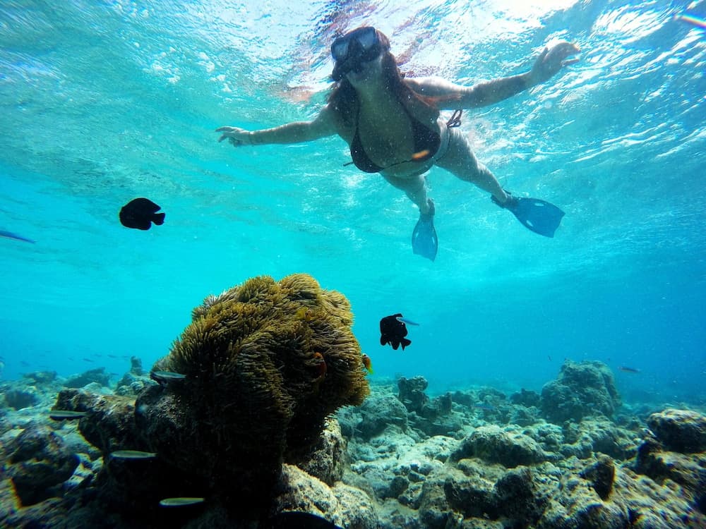 Adroit Beach Inn - View 35