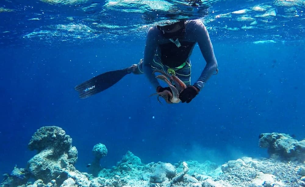 Adroit Beach Inn - View 57