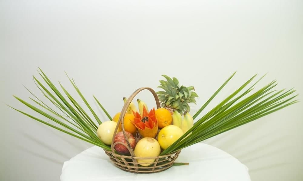 Palm Garden - View 17