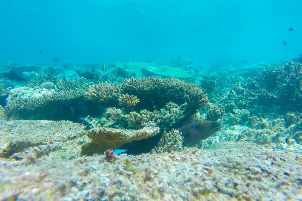 Hulhudheli Inn - View 92