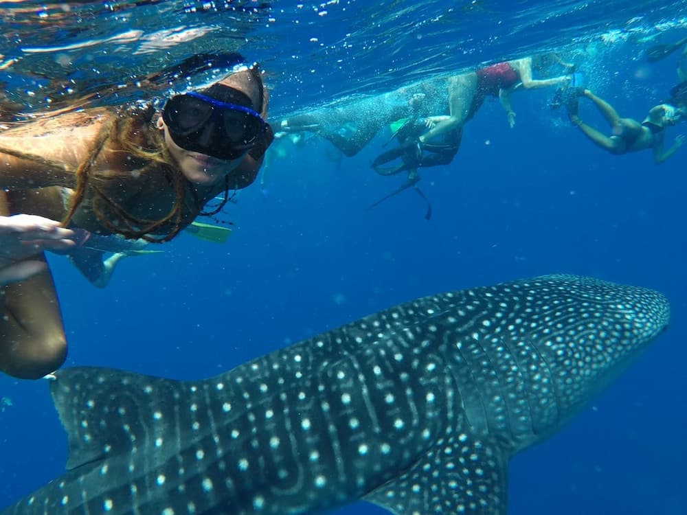 Mala Maldives Dhangethi - View 36