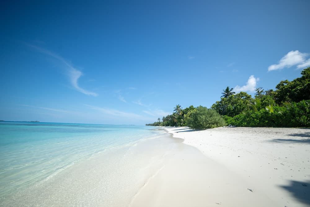 Whaleshark Beach - View 4