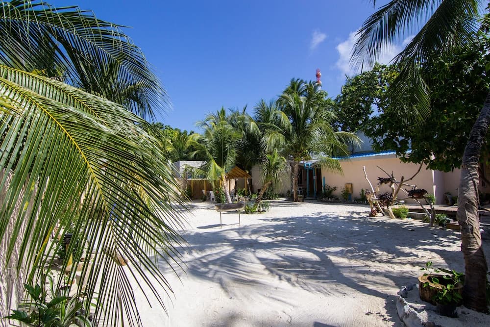 Dream Coral - View 6