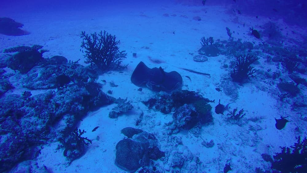Rasdhoo Holiday Home - View 111